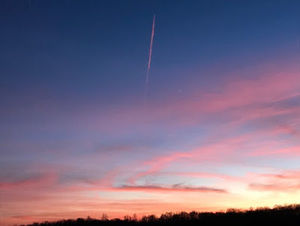 Meet your Posher, Abbie